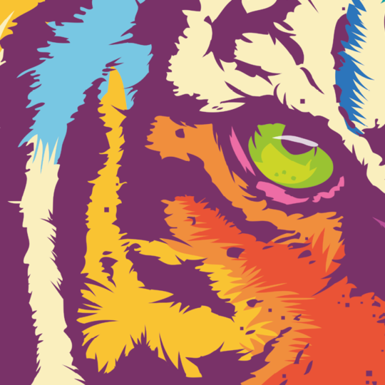 Zoom sur l'illustration Rainbow tiger